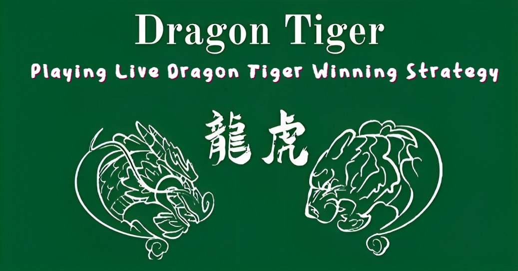 Live Dragon Tiger Winning Strategy